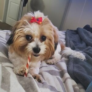 UNLISTED ITEMS 1-100